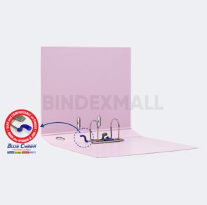 1010 WEBSITE B