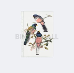 BINDEXMALL - 5021 - C