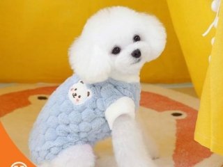 Baju Anjing Dog Sweatshirt Sweater Coats