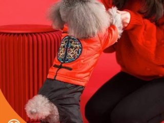 Baju Anjing Jumpsuit Cheongsam Dog Clothes