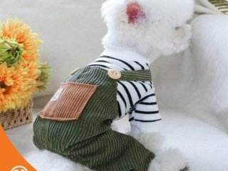 Baju Anjing Jumpsuit Dog Clothes Collection 1