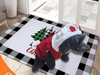 Baju Anjing Sweater Hoodie Christmas Thyme 1