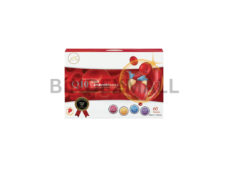 Q10 Lumbrokinase Enzyme Capsules 60 Kapsul dengan CoQ10