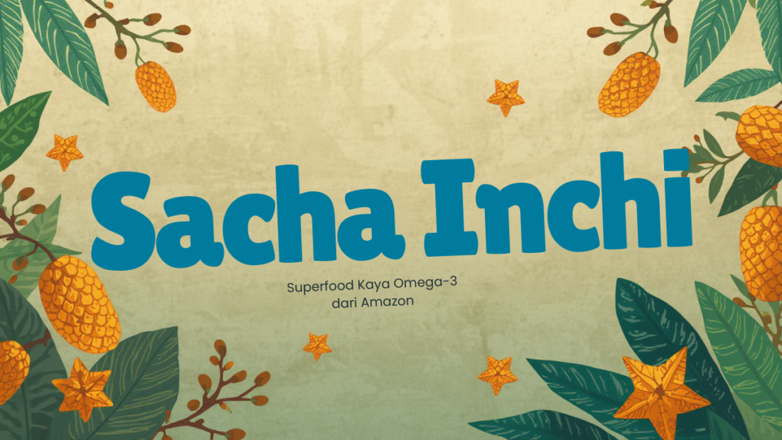 Biji sacha inchi segar kaya omega-3 untuk kesehatan jantung