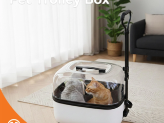 Pet Trolley Box ( Pre-Loved )