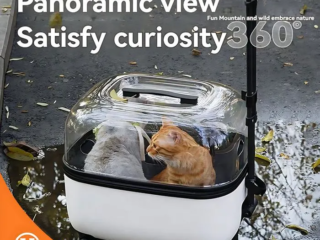 Pet Trolley Box ( Pre-Loved )